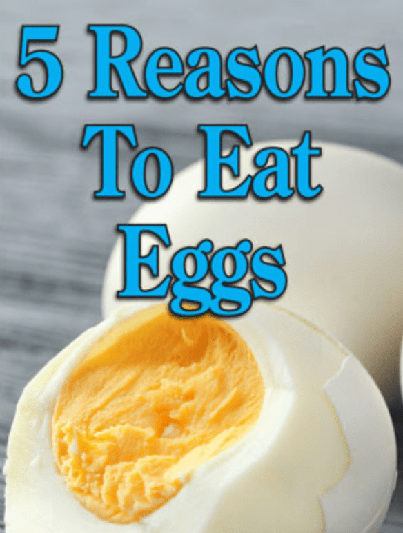 Five Arguments for Eating Eggs