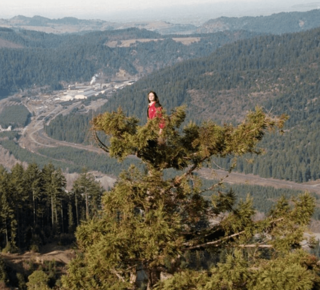 The Incredible Story of the Girl Who Stayed 738 Days in a Redwood Tree