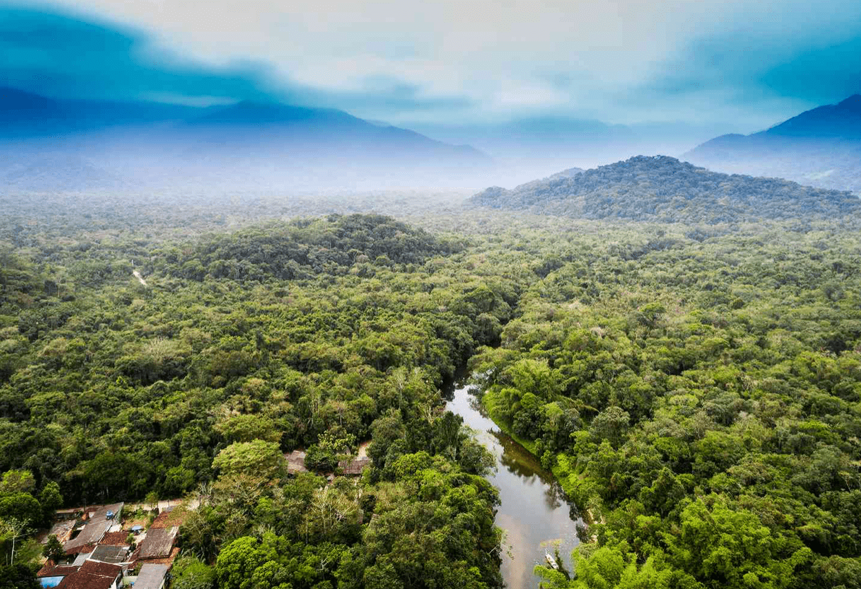 Launch of $200 million fund to protect the Amazon Rainforest is assisted by Jeff Bezos and Leonardo DiCaprio.