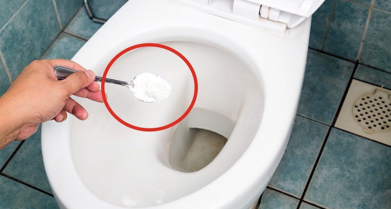 Why is adding salt to the toilet a good idea? Plumbers will never tell you this, though.