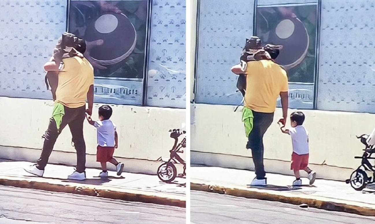 Father is applauded for transporting his huge dog rather than his small son