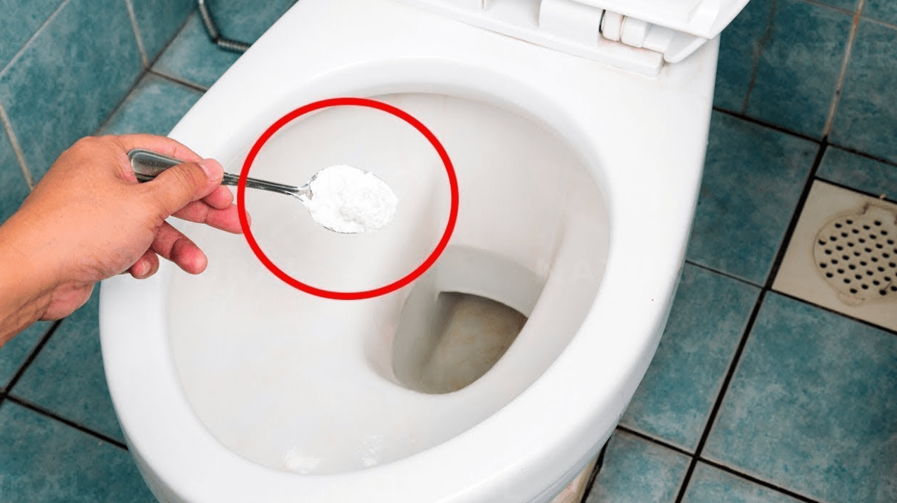 Why is adding salt to the toilet a good idea? Plumbers will never tell you this, though.