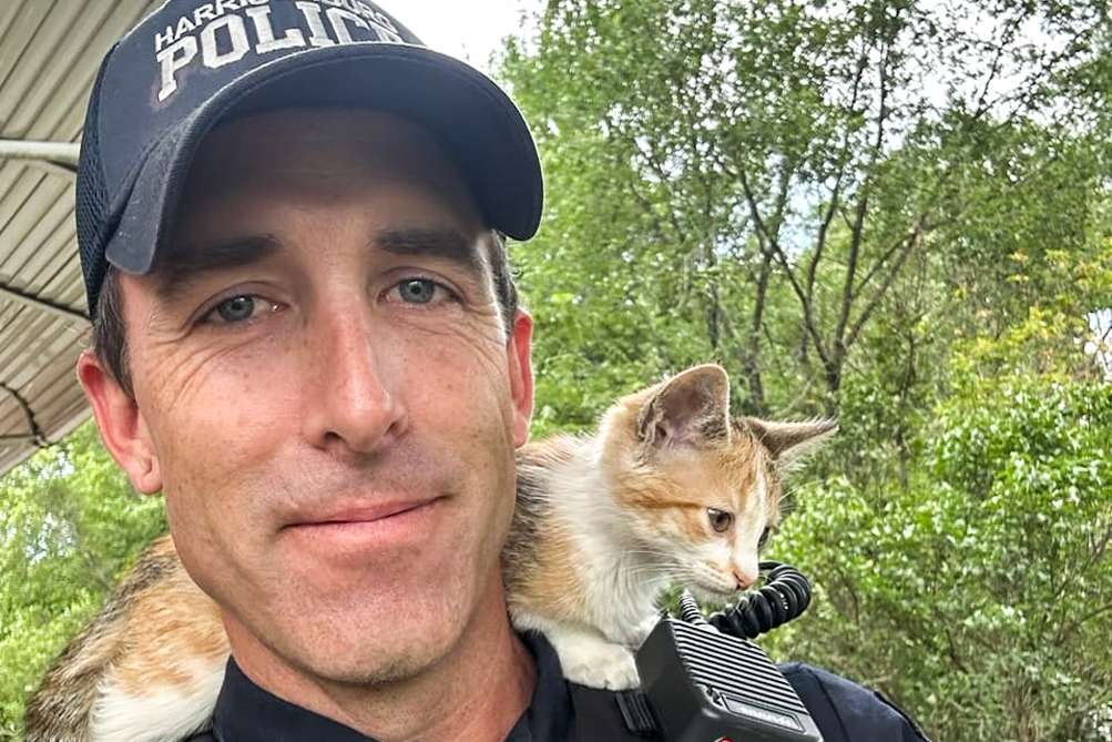 Following reports that she was thrown from a vehicle, a Virginia officer adopts a kitten.