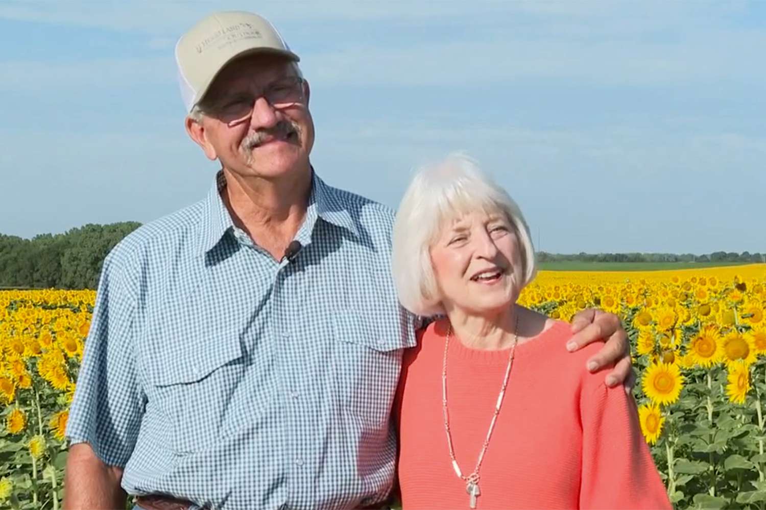 80 acres of sunflowers are planted by a Kansas farmer as a gift for his wife’s 50th wedding anniversary.