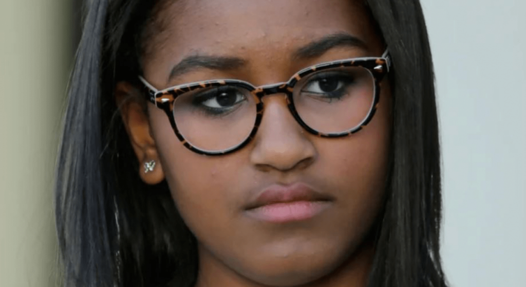 Sasha Obama, the former first daughter of the US, and Her Current Activities