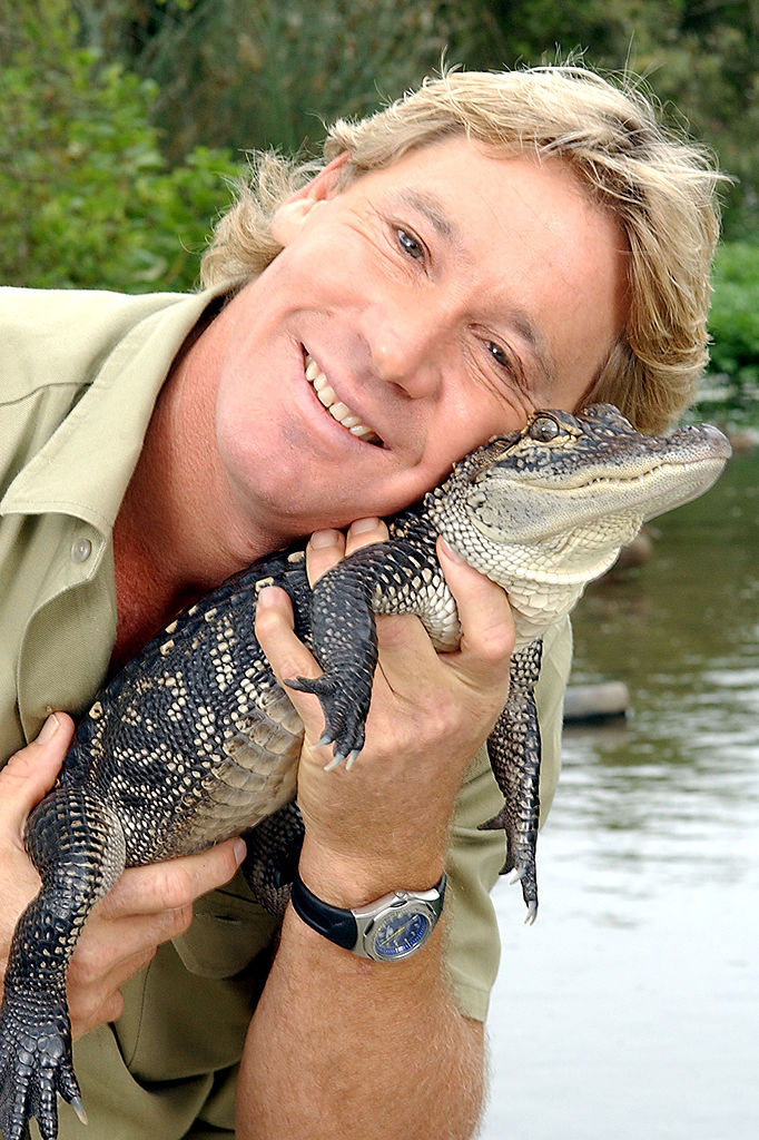 The same snake that bit Robert Irwin’s late father bit him on the face, which had an unsettling similarity to Steve Irwin.