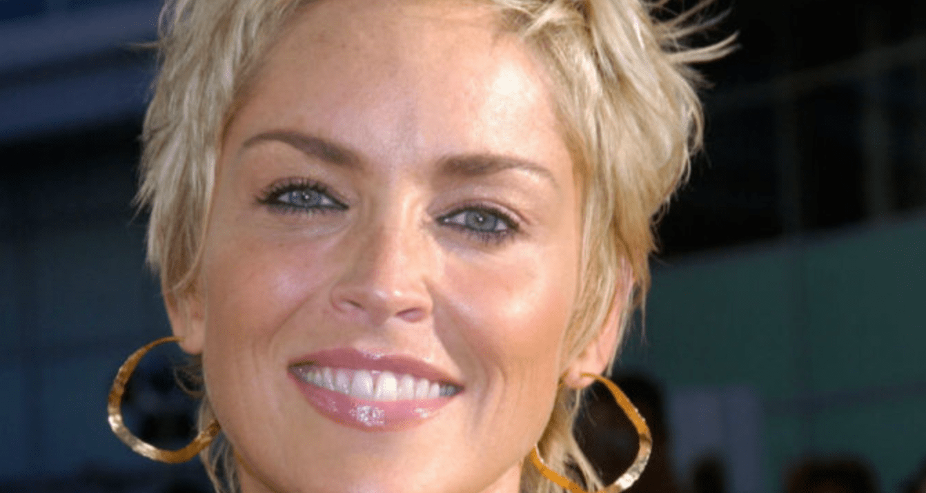 Aging Gracefully: Sharon Stone Embraces Her Authentic Beauty