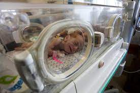 Premature Babies Evacuated from Gaza Warzone Find Safety and Treatment in Egypt