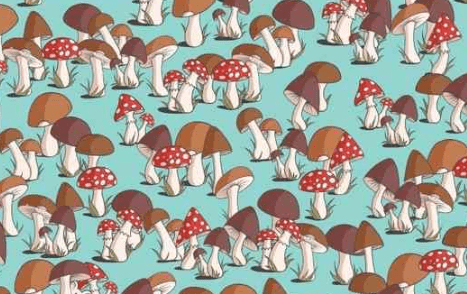 Test Your Brain: Find the Hidden Mouse