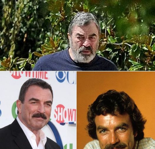 Tom Selleck: A Journey of Talent and Resilience