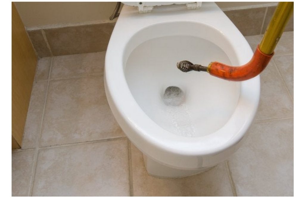 Man Finds “Snake” In His Bathroom – When Expert Sees It, He Whispers: “That’s Not A Snake…”