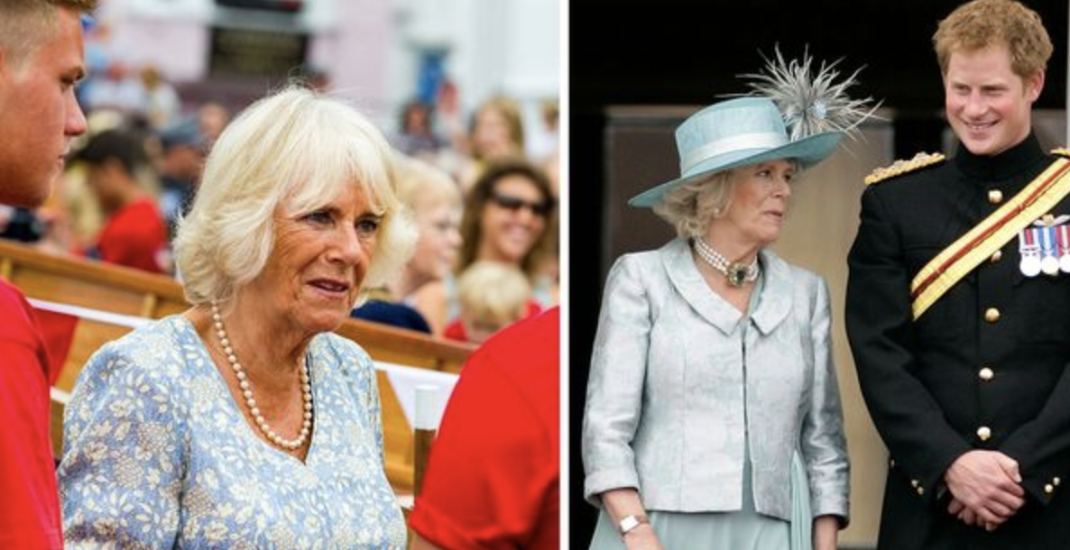 Queen Camilla Furious with Prince Harry: Reports of Strained Relationship