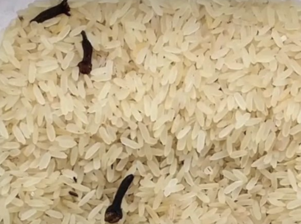 Keep Weevils Away from Your Rice and Beans